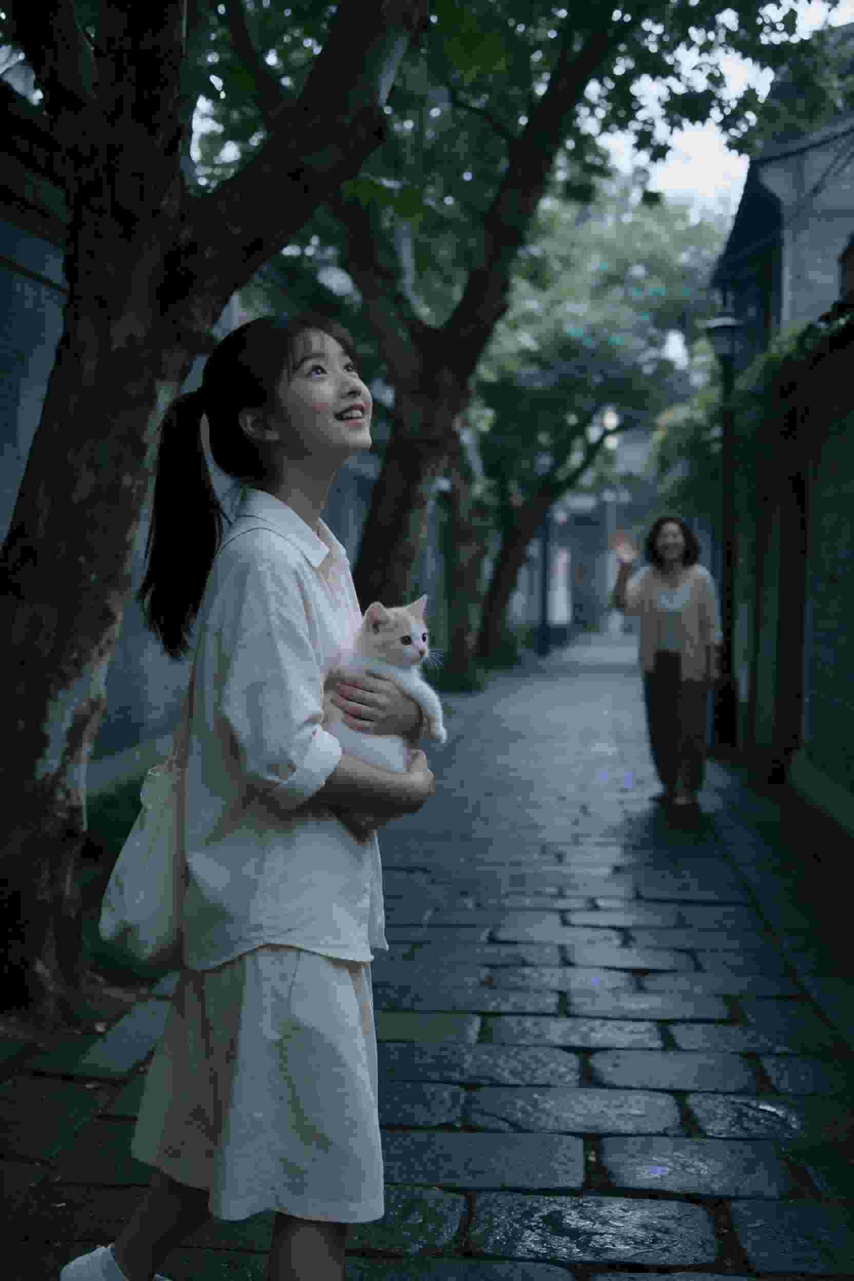 秘密办公室